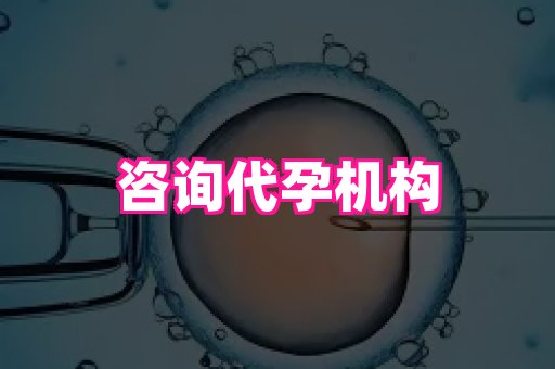 杭州助孕网 1