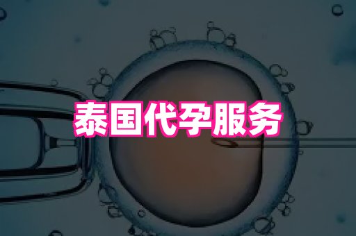 杭州助孕网 1