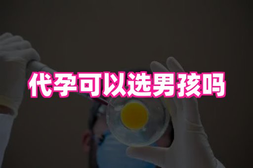 杭州助孕网 2