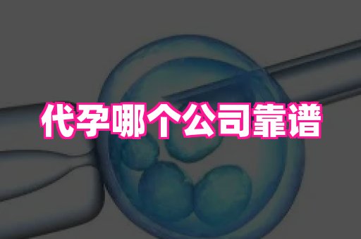 杭州助孕网 3