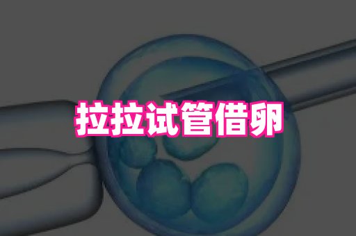 杭州助孕网 3