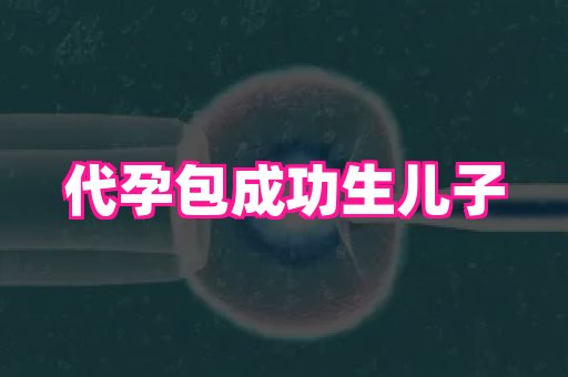 杭州助孕网 4